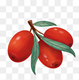 【红枣卡通素材】免费下载_红枣卡通图片大全