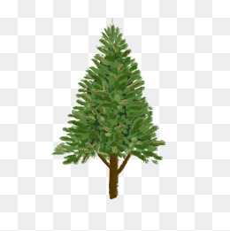 仿真类四季常青的松树png