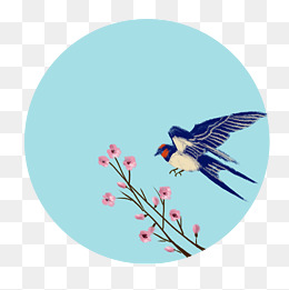 春季清明节降落枝头的燕子