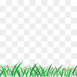 小草小花草地插画