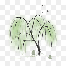 叶子