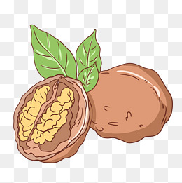 核桃坚果卡通插画
