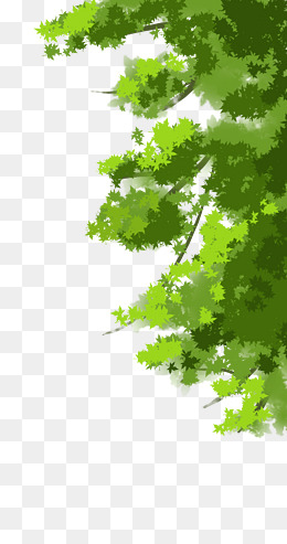 绿色生活手绘树叶树枝