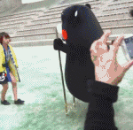 熊本熊动态搞笑表情包精选大全 熊本熊之花式摔倒