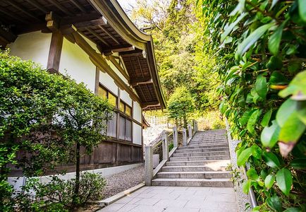 日式古代庭院绿植楼梯