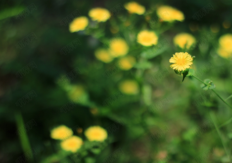 烟花鞭炮爆炸3