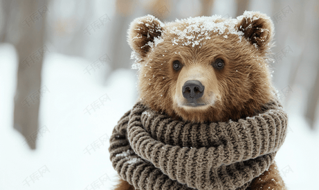戴着围巾的小熊