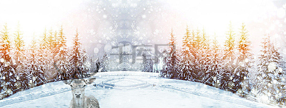 冬季唯美背景素材背景图片免费下载_详情页海