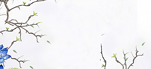 创意女装背景图片背景素材免费下载,图片编号