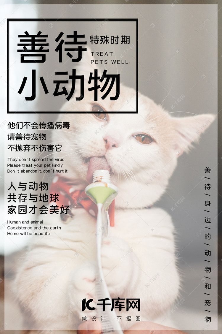 善待动物猫咪白色简约海报