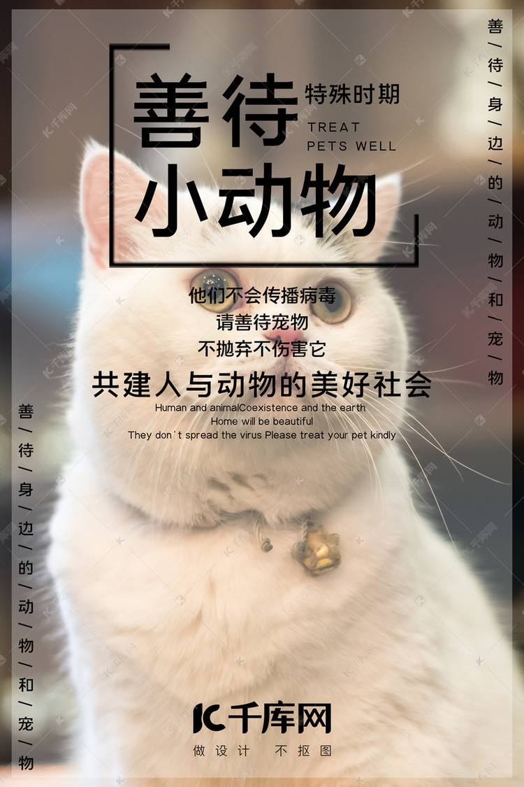 善待动物猫咪白色简约海报