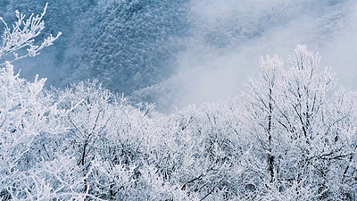 雪景实拍