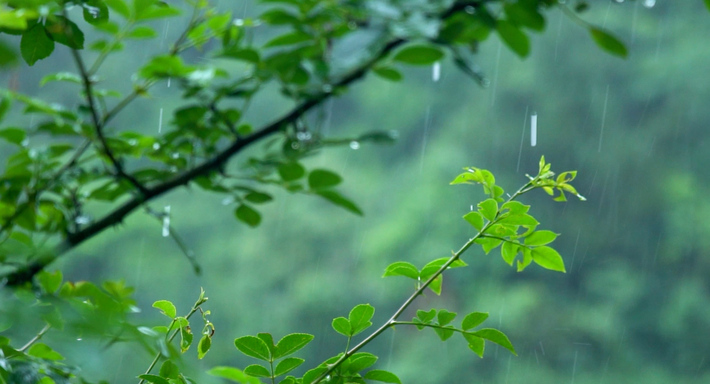 下雨实拍