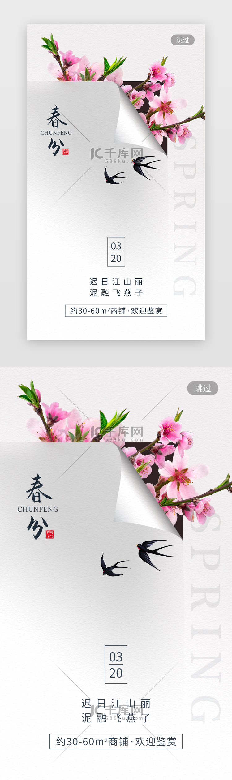 二十四节气春分app闪屏创意白色桃花