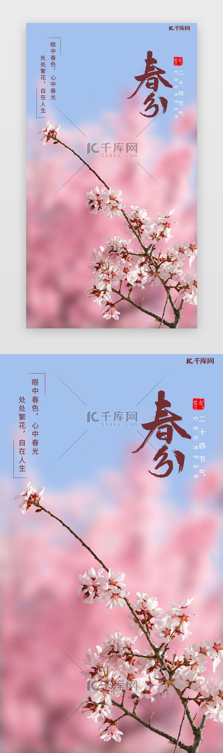 春分闪屏时尚粉色樱花