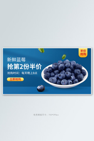 水果海报水果蓝色简约banner海报