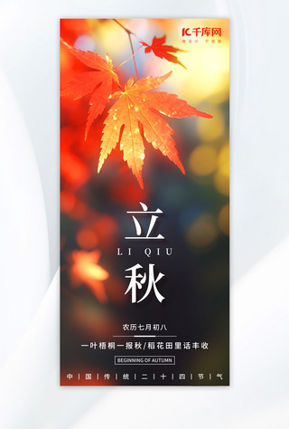 秋天枫叶海报海报模板_立秋传统节气彩色简约手机海报