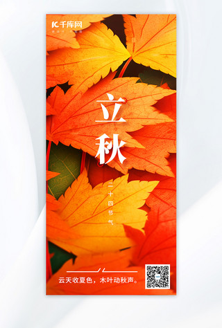 飘落的红枫叶海报模板_立秋枫叶彩色简约手机海报