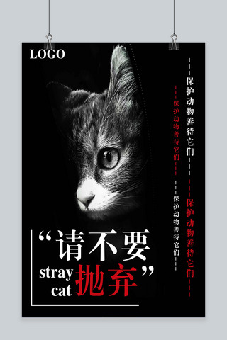 保护动物海报模板_简约流浪猫保护动物海报