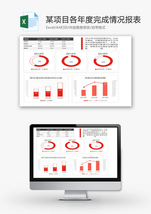 某项目各年度完成情况报表
