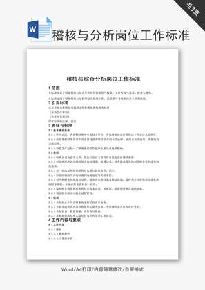 稽核与综合分析岗位工作标准word文档