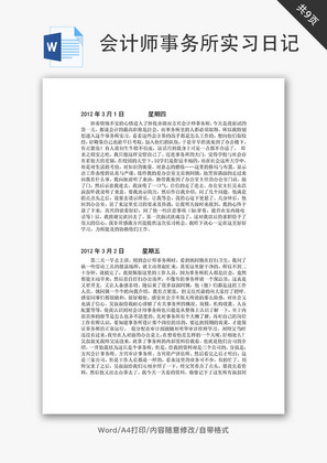 会计师事务所实习日记Word文档