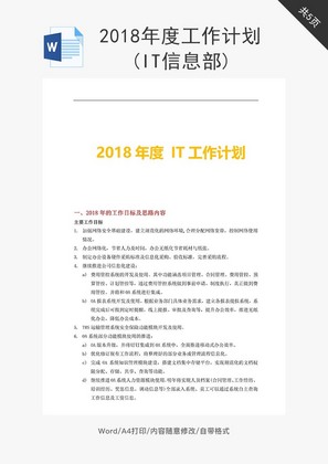 工作计划(IT信息部)word文档