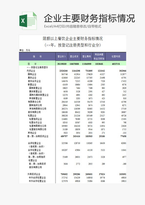 主要财务指标情况EXCEl模板