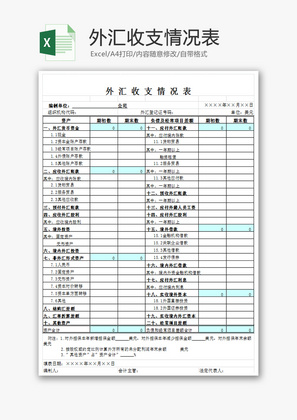 外汇收支情况表EXCEL模板