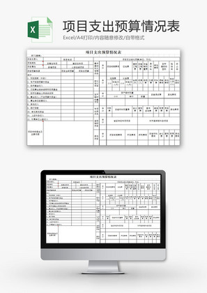 财务报表项目支出预算情况表Excel模板