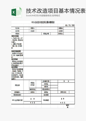 技术改造项目基本情况表EXCEL模板