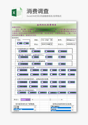 日常办公消费调查Excel模板