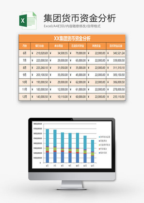 财务报表集团货币资金分析Excel模板