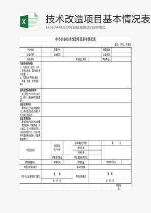 技术改造项目基本情况表EXCEL模板