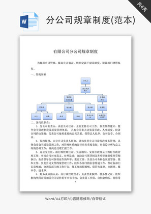 分公司规章制度(范本)Word文档