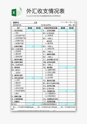 外汇收支情况表EXCEL模板