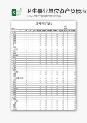 卫生事业单位资产负债表EXCEL模板