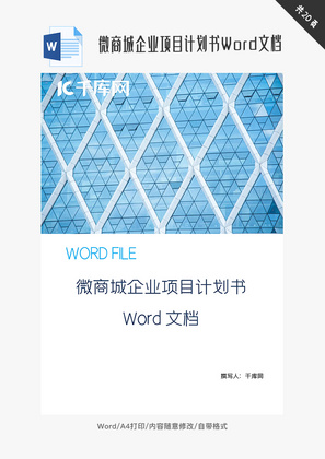 微商城企业项目计划书Word文档