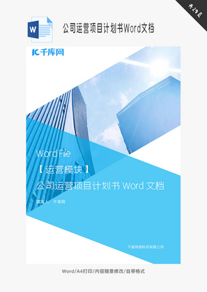 公司运营项目计划书Word文档