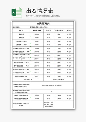 出资情况表Excel模板