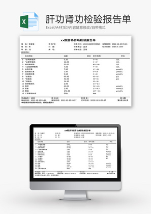 肝功肾功检验报告单Excel模板