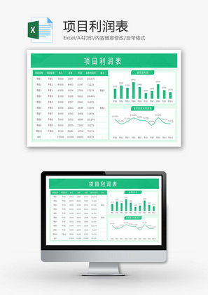 项目利润表Excel模板