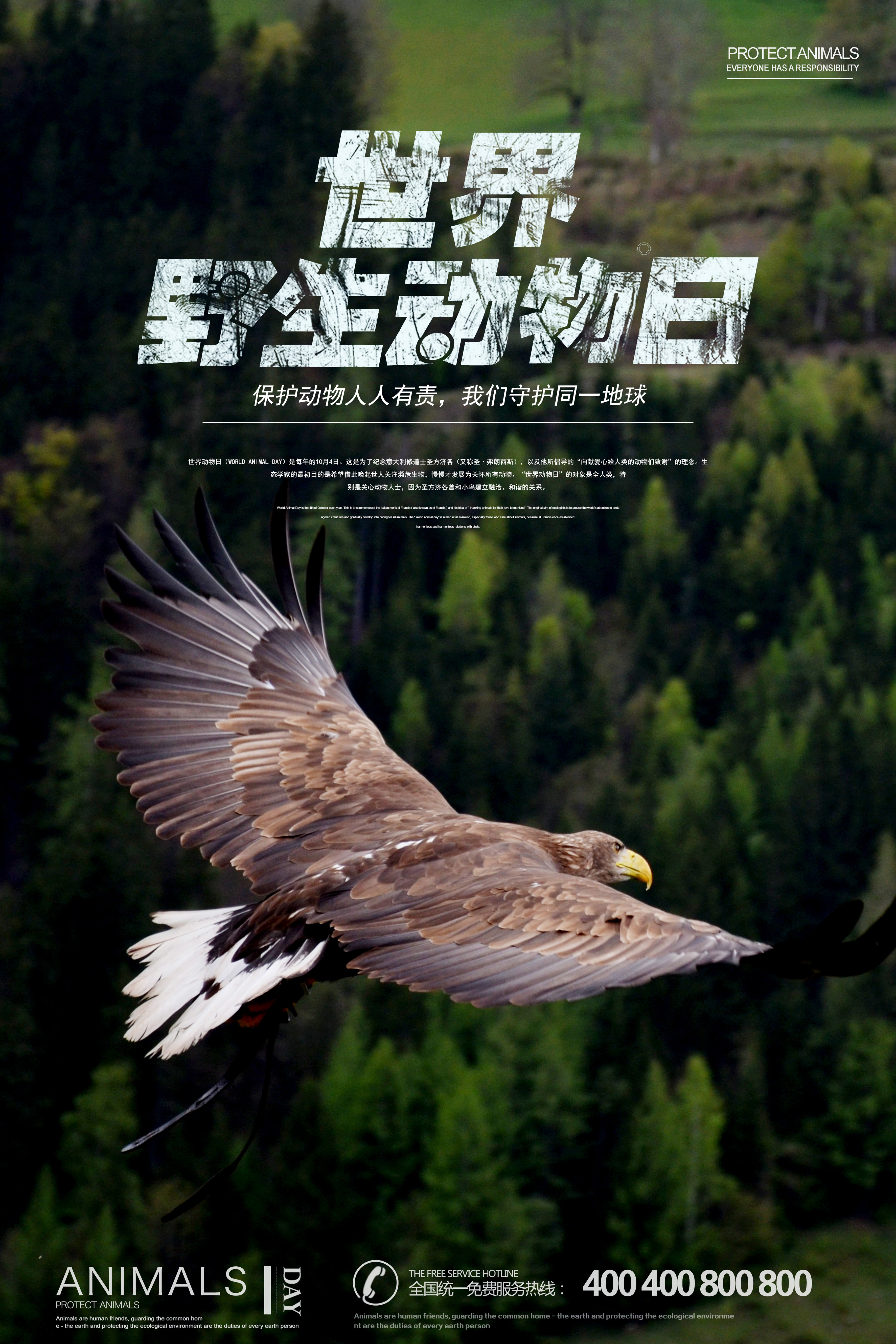 千库原创世界野生动物日保护动物宣传海报图片
