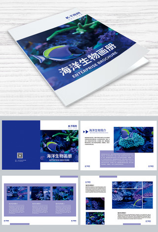 蓝色简约海洋生物产品画册画册封面