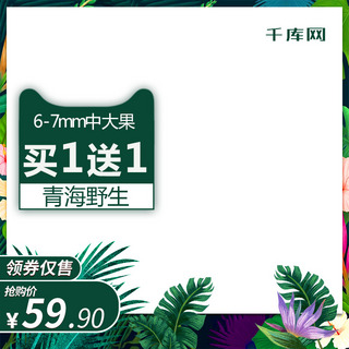 清新树叶植物海报模板_电商淘宝黑枸杞主图手绘植物活动推广图绿色主图