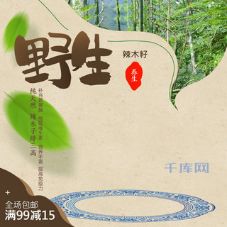 中国风纹理纹理海报模板_食品坚果野生辣木籽时尚中国风直通车主图