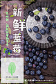 春夏美食深色新鲜蓝莓广告宣传海报