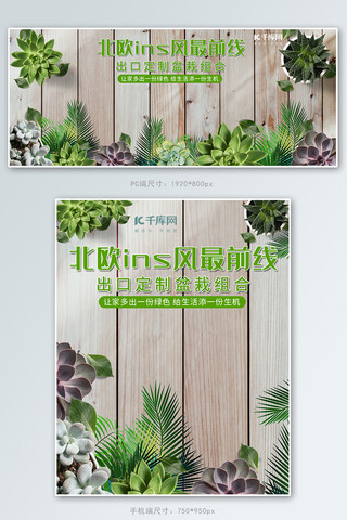 盆栽植物海报模板_新鲜多肉盆栽植物电商banner
