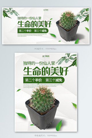 清新的植物海报模板_简约风格仙人球banner