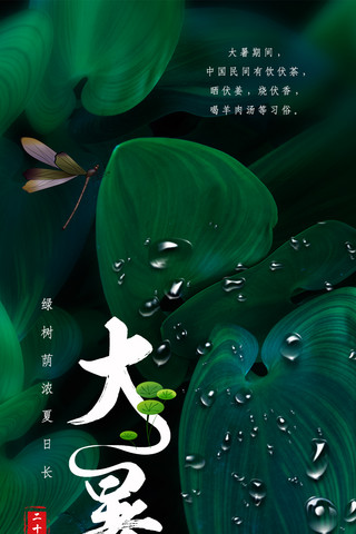 绿色清新植物蜻蜓大暑手机海报